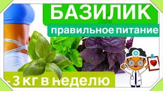 Как похудеть с базиликом легко и быстро. Свойства, показания и правильное применение базилика