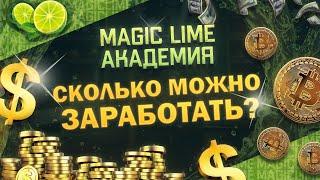 MagicLime Academy.  А сколько можно заработать? Маркетинг бонусно-накопительной программы Bitlime