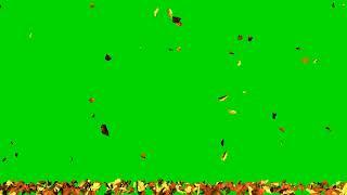 Falling Autumn Leaves Green Screen