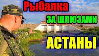 РЫБАЛКА, ЗА ШЛЮЗАМИ АСТАНЫ!!! РЕКА ИШИМ 2023.#рыбалка #казахстан #ишим #река