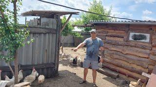 Приходится подкармливать. Одного отдали.