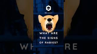 The signs of rabies in dogs #rabies #rabiesawareness #vet #dog