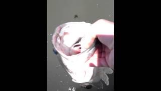 CA Delta fishing, release