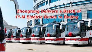 Zhongtong Delivers a Batch of 11-Meter Electric Buses to Beijing