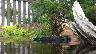 Aquascape Floating Plant Island for Aquatic Plants