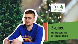 Бизнес на продаже елок. Как построить успешный бизнес по продаже елок?