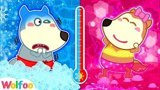 Hot vs Cold Bath - Wolfoo Learns Healthy Habits | Wolfoo Family Kids Cartoon