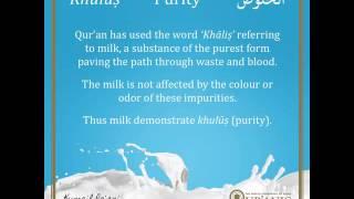 QWOTD Day 1 - Khulus (Purity)