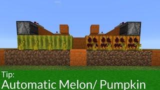 How to Build an Automatic Melon & Pumpkin Farm in Pocket Edition