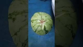 #simple watermelon carving design skills #watermelon cutting#watermelon flower #foodart