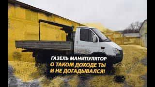 СКОЛЬКО ДЕНЕГ ПРИНОСИТ ГАЗЕЛЬ МАНИПУЛЯТОР | Я ТАКОГО НЕ ОЖИДАЛ!