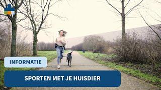 Sporten met je huisdier - Medpets geeft tips!