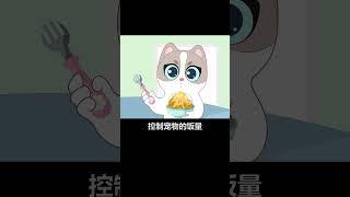 【宠物科普】这样喂猫咪猫粮很危险，你是不是也这样做了？