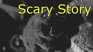 Cat (CreepyPasta)