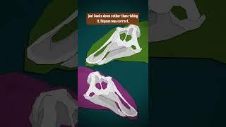 What's With Its Face? #dinosaur #tsintaosaurus #paleontology #education #educational #science