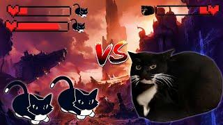 Maxwell cat vs Maxwell cat FINAL