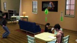 sims 3.avi