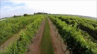 Nebraska's Premier Winery, Miletta Vista, St. Paul, Nebraska