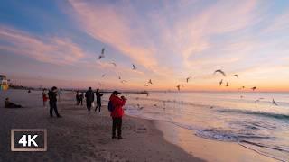 City walking in Odesa, Ukraine. Sunrise on the beach. Road of health. Night city.