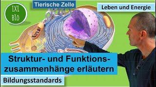 Leben und Energie: 1. Zellen - Struktur und Funktion - Bildungsstandards Biologie