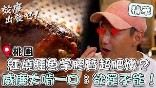 桃園最狂妄料理！「紅燒鱷魚掌」膠質超肥嫩？威廉大啃一口：欲罷不能！【#效廉出發吧】EP81 精華｜桃園｜許效舜 威廉