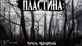 ПЛАСТИНА | ЖУТКИЕ РИСУНКИ | Страшная история