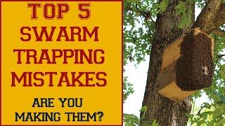 Are YOU Making These Top 5 Swarm Trapping Mistakes?