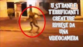 5 STRANE E TERRIFICANTI CREATURE RIPRESE DA UNA VIDEOCAMERA