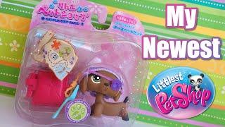 Unboxing My Newest LPS (yes I bought more littlest pet shop)