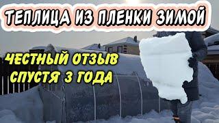 Теплица из плёнки зимой. Честный отзыв спустя 3 года