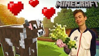 Minecraft ЭПИЗОД 5 Ферма  в Майнкрафт Приключения героя на ферме с овцами