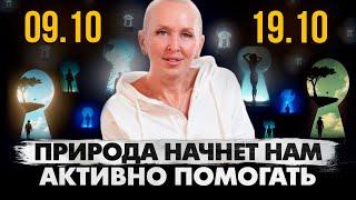 Всем Приготовиться! Наступило Время Перерождения / Предсказание с 9 по 19 Октября 2024