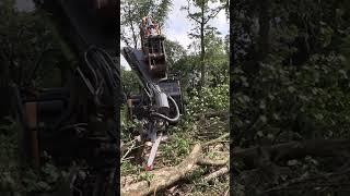 Has anyone tried out Jas P Wilson's Mantis attachment yet? #forest #forestmachine #forestry
