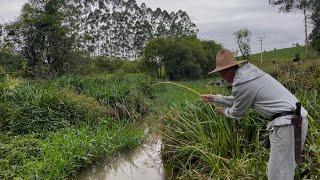 Pescaria raiz no corguinho de caniço, traíras, jundiás e carás!