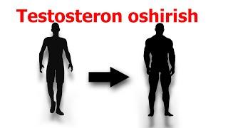 TESTOSTERON OSHIRISH USULLARI - ILMIY FAKTLAR - TODD ENSIKLOPEDIYASI