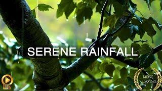10 Hour | Tranquility Rain Ambience | Relaxing Nature Meditation for Sleep | Peace | Stress-Relief