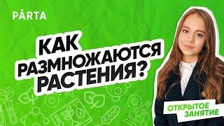 КАК РАЗМНОЖАЮТСЯ РАСТЕНИЯ?| PARTA ОГЭ 2022