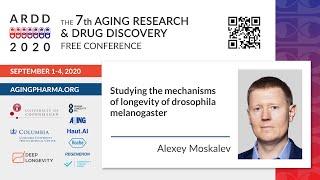 Alexey Moskalev - Studying the mechanisms of longevity of drosophila melanogaster