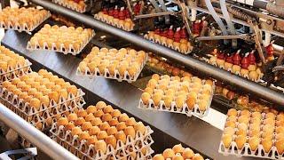 Vital Farms’ Egg Central Station (2019)
