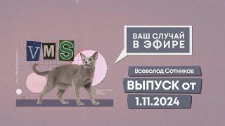 Ваш случай в эфире. Выпуск от 1.11.2024