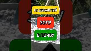 НЕ ДОБАВЛЯЙ ЗОЛУ В ПОЧВУ пока не посмотришь это видео #огород #дача #сад #дом #огородничество #зола