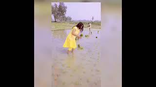 samira official#shorts#video