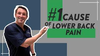 What is the number one cause of lower back pain?