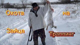 Охота на зайца #ружьё беттинсоли #траппинг