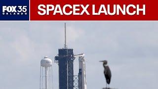 LIVE: SpaceX Falcon 9 rocket launch