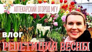 ВЛОГ | МОСКВА | РЕПЕТИЦИЯ ВЕСНЫ | ПЕРВОЦВЕТЫ и ОРХИДЕИ