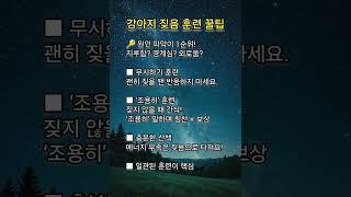 강아지 짖음 훈련 꿀팁 #강아지 #명상 #명언 #삶 #삶의지혜 #좋은글 #좋은글귀 #인생 #인생명언 #인생조언 #아침 #아침묵상 #건강 #철학 #부자 #자기계발 #영어 #학습