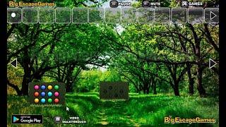 Big Nature Forest Trees Escape Walkthrough [BigEscapeGames]