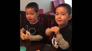 Very cute Twin toddler sing!