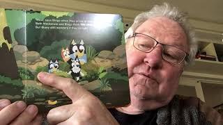 Bluey: The Creek | Read aloud by John Wood
